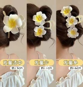 HAIR CLASP