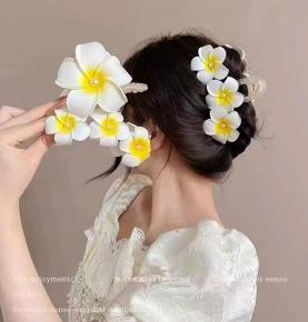 HAIR CLASP